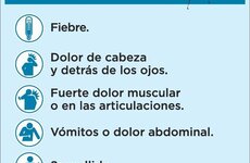 Imagen de Atención: Éstos pueden ser síntomas de Dengue