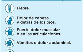 Imagen de Atenci&oacute;n: &Eacute;stos pueden ser s&iacute;ntomas de Dengue