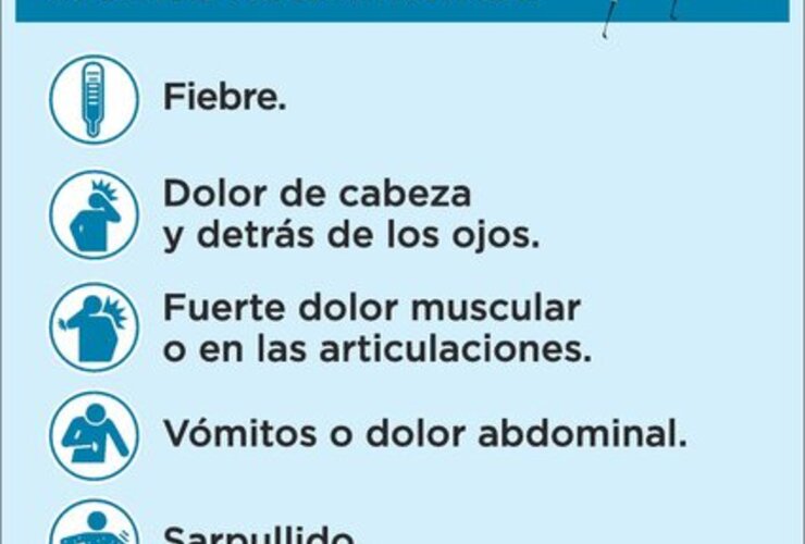 Imagen de Atención: Éstos pueden ser síntomas de Dengue