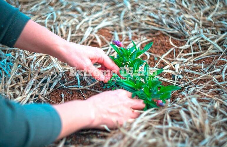 Que bueno que haya gente buena.