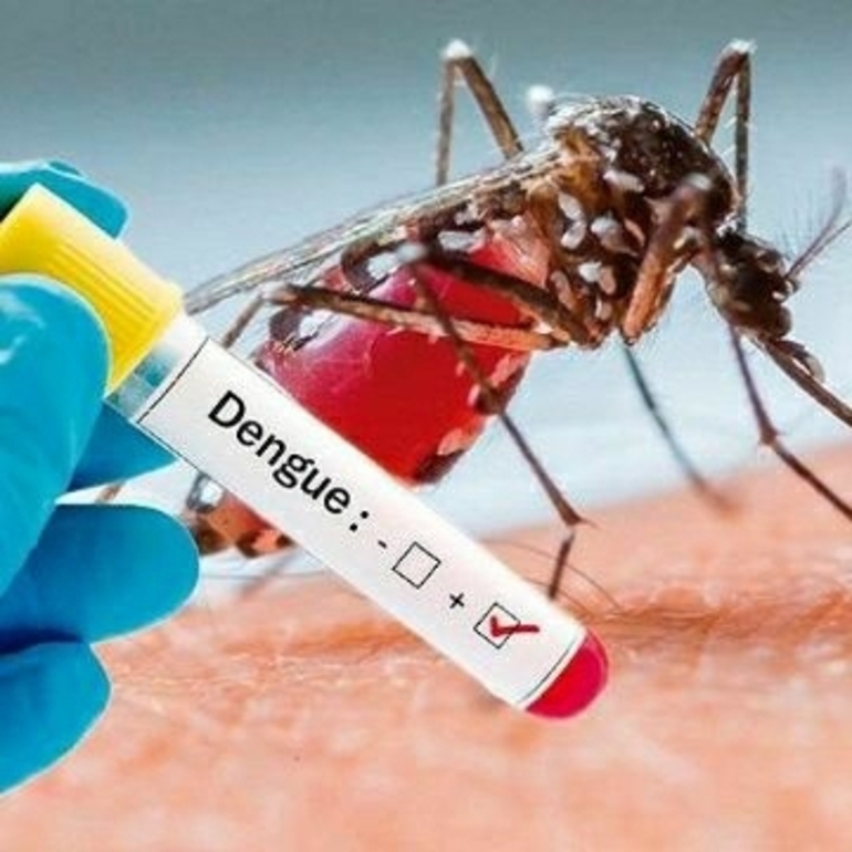 Imagen de Dengue confirmado en el nene de la zona de conflicto
