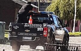 Imagen de Persecuci&oacute;n y arresto de un masculino