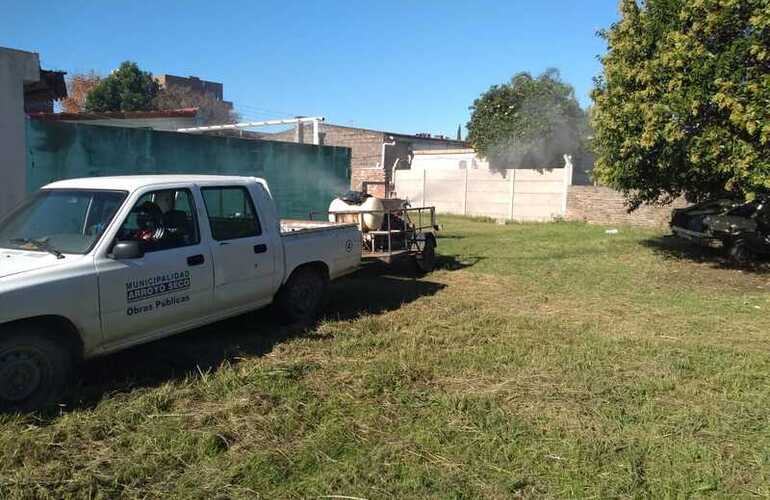 Imagen de Fumigación municipal exhaustiva: esta mañana ingresaron a un lote privado