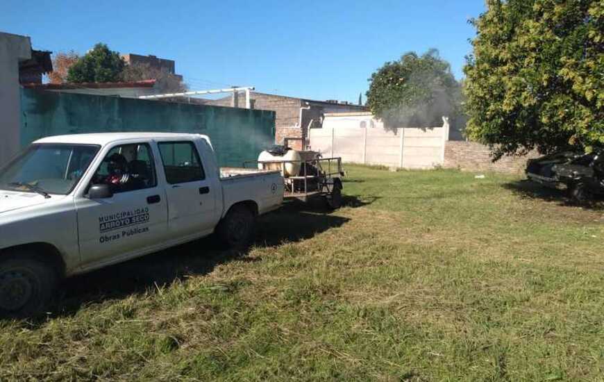Imagen de Fumigaci&oacute;n municipal exhaustiva: esta ma&ntilde;ana ingresaron a un lote privado