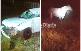 Imagen de Tragedia: Muri&oacute; tras chocar un caballo en la autopista