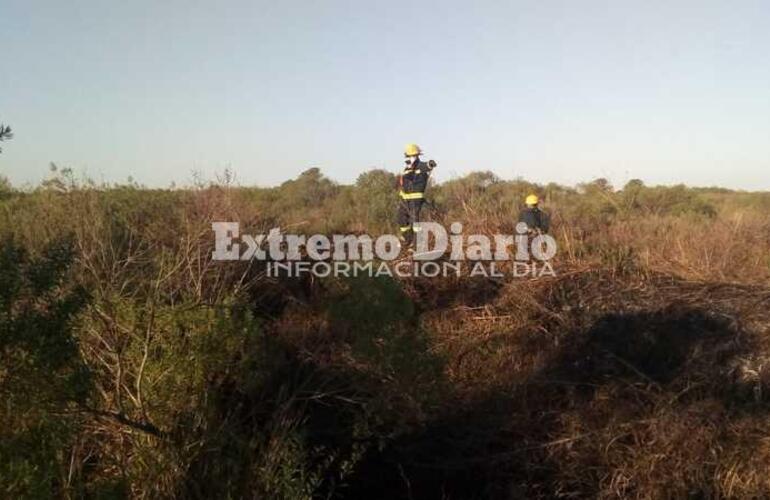 Imagen de Incendio de pastizales: Habría sido intencional