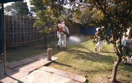 Personal municipal fumig&oacute; esta ma&ntilde;ana en cortada 25 de Mayo