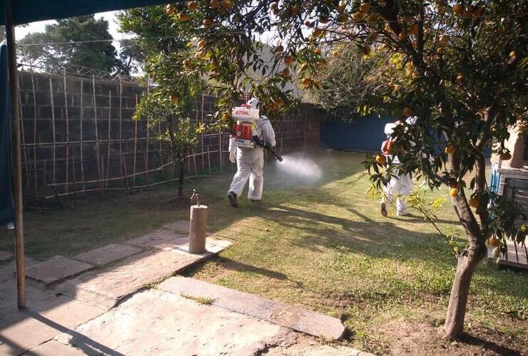 Personal municipal fumigó esta mañana en cortada 25 de Mayo