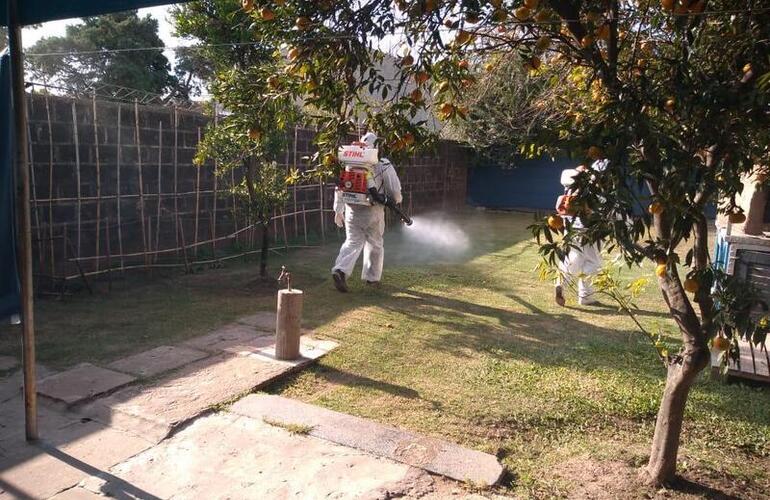 Personal municipal fumigó esta mañana en cortada 25 de Mayo