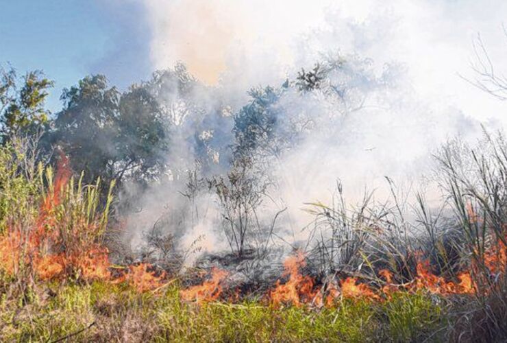 Descontrol. Los incendios se propagan en las islas, año tras año, sin que aparezcan soluciones efectivas.