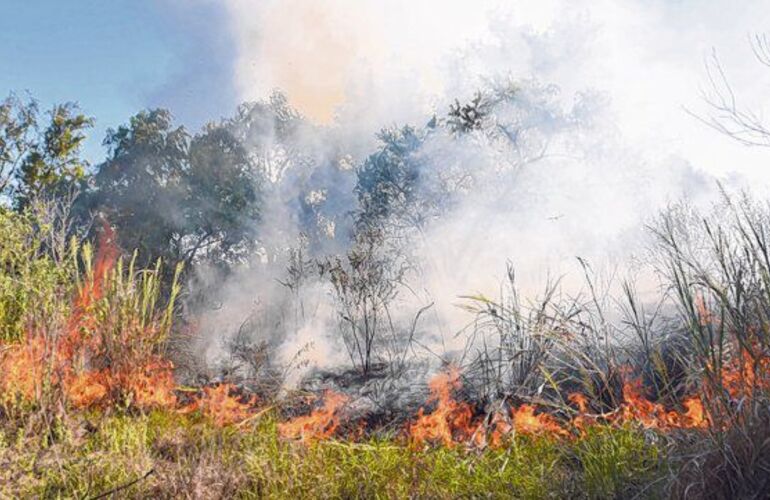 Descontrol. Los incendios se propagan en las islas, año tras año, sin que aparezcan soluciones efectivas.