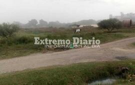 Imagen de Convocaran a autoridades del Ministerio de Medio Ambiente para abordar la poluci&oacute;n de los puertos