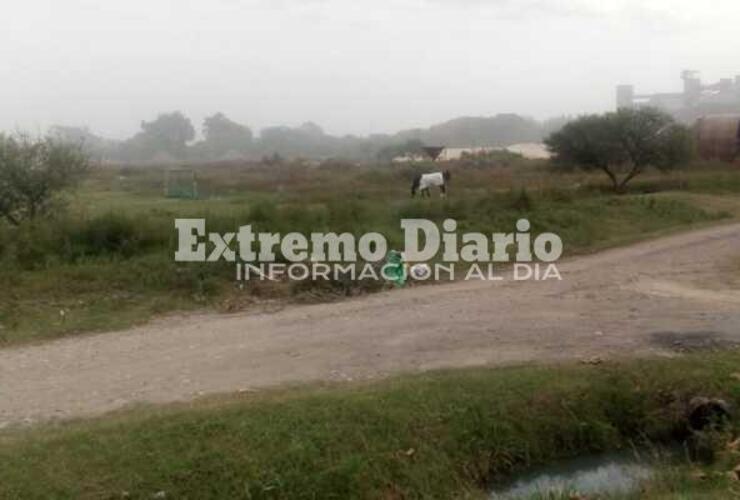 Imagen de Convocaran a autoridades del Ministerio de Medio Ambiente para abordar la polución de los puertos