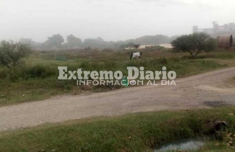 Imagen de Convocaran a autoridades del Ministerio de Medio Ambiente para abordar la polución de los puertos