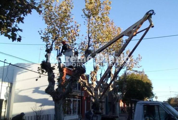 Imagen de Escamonda por calle San Martín