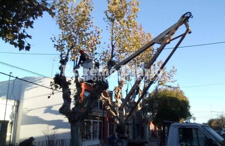 Imagen de Escamonda por calle San Martín