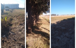 Foto: Municipalidad
