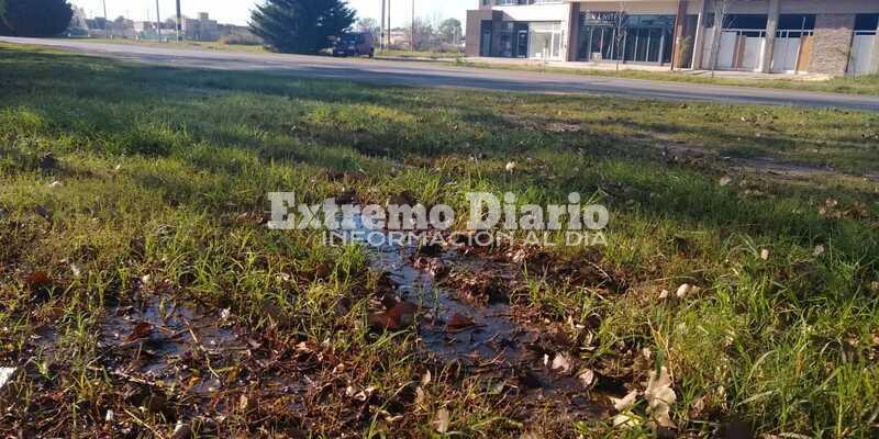 Vecinos preocupados por ser un foco infeccioso de mosquitos.