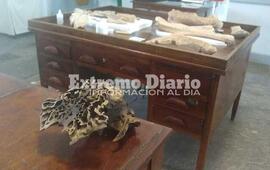 Esta ma&ntilde;ana fue examinado por el profesional de la provincia.