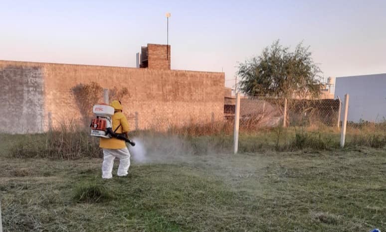 Foto: Municipalidad