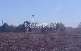 Algunos de los jinetes que se iban retirando luego del llamado de atenci&oacute;n de la polic&iacute;a.