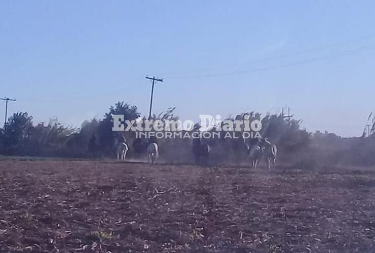 Algunos de los jinetes que se iban retirando luego del llamado de atención de la policía.