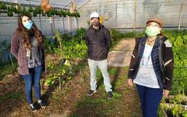 Imagen de El Vivero Comunal apuesta a tutoriales digitales para seguir en contacto con las instituciones