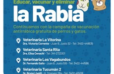 Imagen de Educar, vacunar y eliminar la rabia