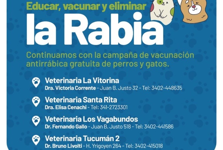 Imagen de Educar, vacunar y eliminar la rabia