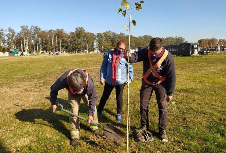 Imagen de General Lagos comenzó con el Plan de Arbolado 2020/2030