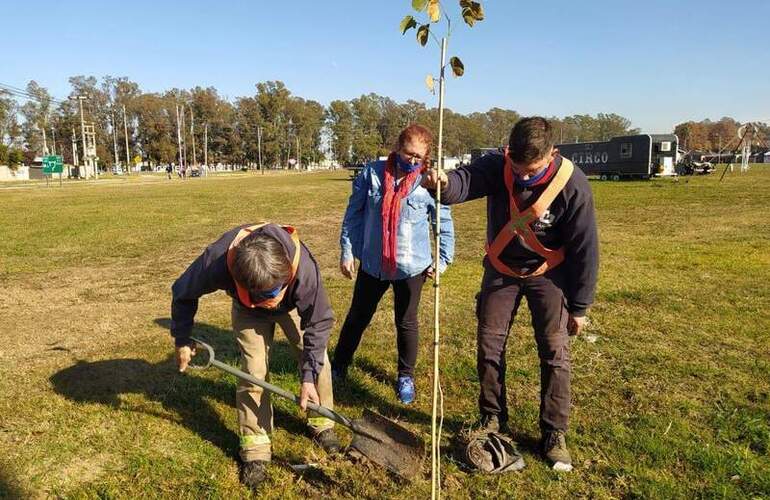 Imagen de General Lagos comenzó con el Plan de Arbolado 2020/2030