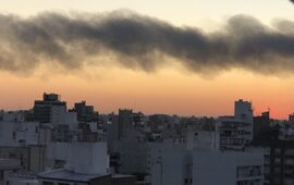 Imagen de La Universidad estudiar&aacute; los incendios en las islas del Paran&aacute; con drones e im&aacute;genes satelitales