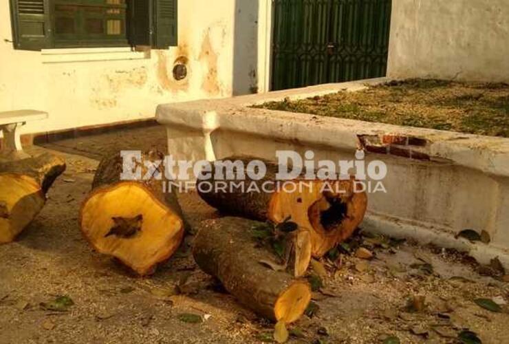 El ejemplar se encontraba frente a la casa sacerdotal.