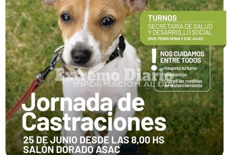 Imagen de Nueva jornada de castraciones en Arroyo Seco