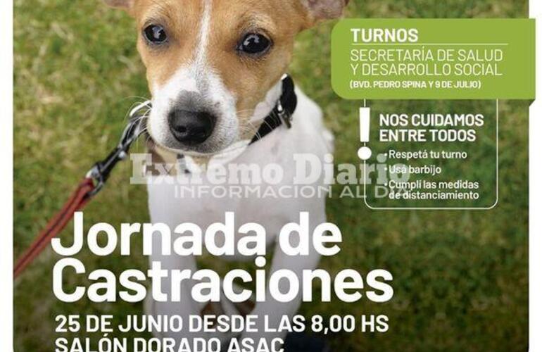 Imagen de Nueva jornada de castraciones en Arroyo Seco