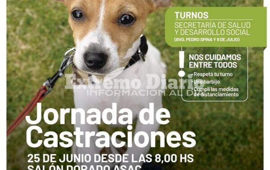 Imagen de Nueva jornada de castraciones en Arroyo Seco