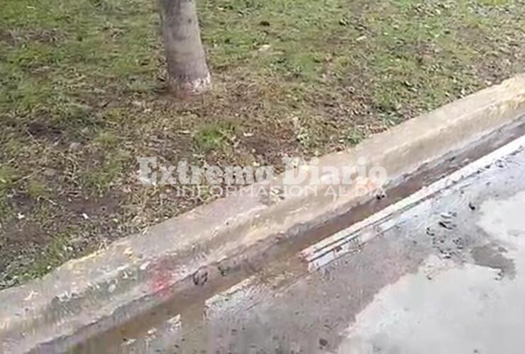 Imagen de Reclamo desde Sarmiento y Juárez Celman
