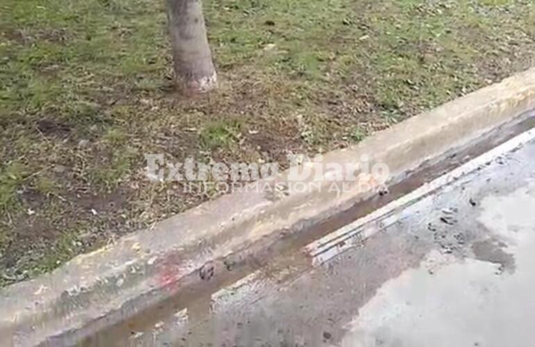 Imagen de Reclamo desde Sarmiento y Ju&aacute;rez Celman