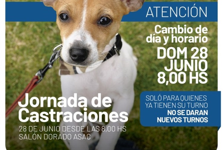 Imagen de Cambio de día y horario: Nueva jornada de castraciones para perros y gatos