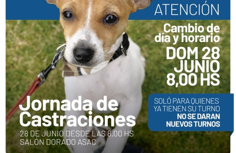 Imagen de Cambio de d&iacute;a y horario: Nueva jornada de castraciones para perros y gatos