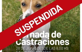 Imagen de SUSPENDEN la jornada de castraciones para perros y gatos
