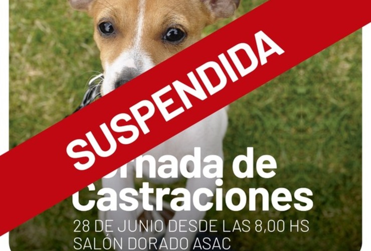 Imagen de SUSPENDEN la jornada de castraciones para perros y gatos