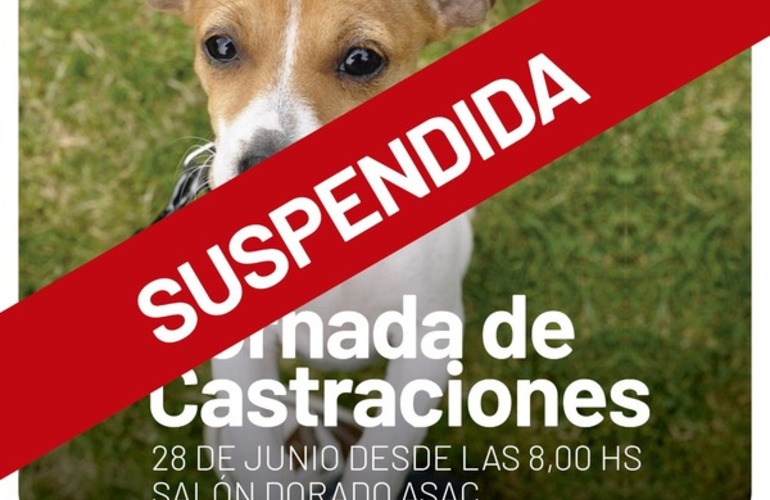 Imagen de SUSPENDEN la jornada de castraciones para perros y gatos