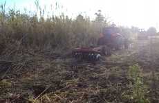 Foto: Municipalidad