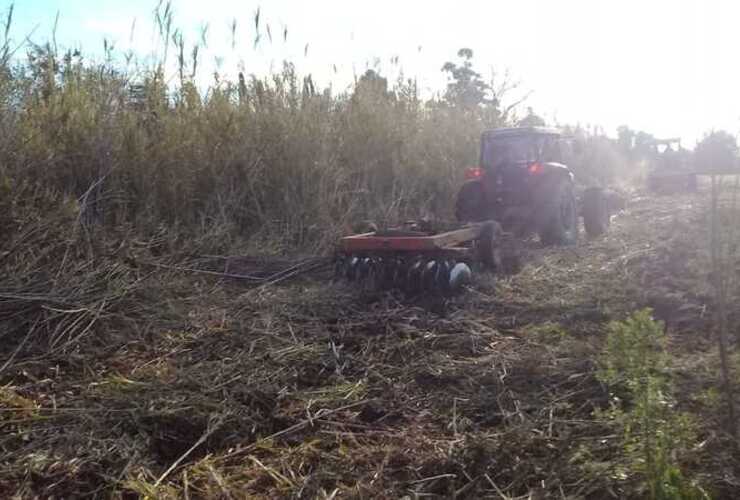 Foto: Municipalidad