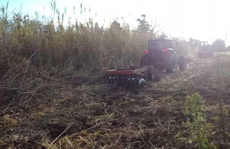Foto: Municipalidad