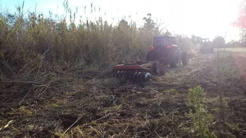 Foto: Municipalidad