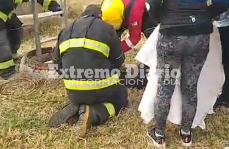 El animal fue asistido por proteccionistas