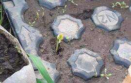 El plan de Arbolado con producci&oacute;n propia comienza a dar sus primeros pasos.