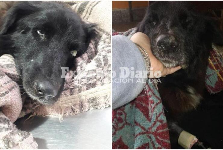 Bicheros inform&oacute; la triste noticia.